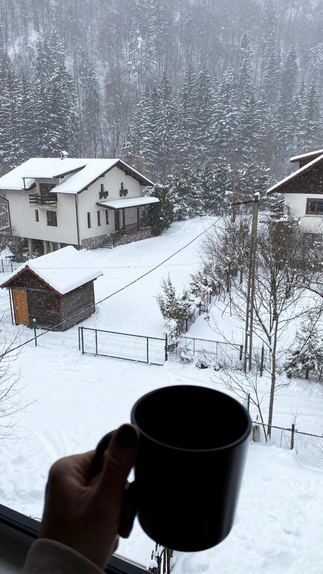 Queen'S Heart Guesthouse Бран Экстерьер фото